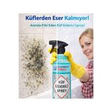 EFFECT Küf giderici önleyici sprey %100 kesin çözüm