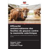 Efficacité antimicrobienne des feuilles de goyave contre la mammite subclinique