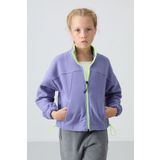 Eflatun Kalın Yumuşak Dokulu Standart Fit Nakışlı Polar Kız Çocuk Sweatshirt - 75157