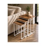 EFLORA DESIGN Tekerlekli Zigon Sehpa 3’lü Set – Metal Ayaklı Ceviz Melamin Kaplama İç İçe Geçen Şık Tasarım