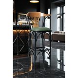 EFON Bar Sandalyesi Özel Üretim Yeşil-Kahve-T169/65 (Oturma Yüksekliği 65cm) Ahşap Kolçak, Metal İskelet