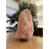 Efsina Masa Üstü Efsina Doğal Himalaya Tuz Lambası (3-4 Kg) E10 Gri Kablolu 34 x 48 Ahşap - Altın