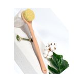 Efsoon Organics Sert Kıllı Sırt Fırçası Selülit Fırçası Doğal Agave Kaktüs Vegan Duş Fırçası Yuvarlak