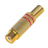 egb TOS FİŞ DİŞİ GOLD UZATMA BRASS (ÇK-5)