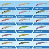 Ege Fish V Gaga 92 mm 15.5 gr Clear Chart Silver Fleck Maket Balık