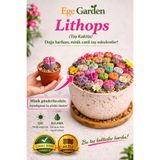 EGE GARDEN Lithops taş kaktüs 1 adet 5.5 cm saksıda yaşayan taş.
