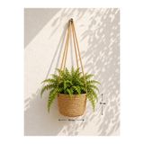 EGE ÖRGÜM Saksılık 15x15 Cm Dekoratif Çiçek Saksısı BİTKİ VE DUVAR APARATI DAHİL DEĞİLDİR