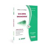 Egem Eğitim Yayınları AÖF 3. Sınıf Çalışma Ekonomisi Bahar Dönemi 6. Yarıyıl Konu Anlatımlı Soru Bankası (Çok Renkli)