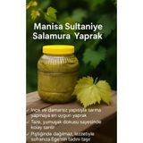 Egenin Yeşili Salamura Yaprak Manisa Sultaniye Üzüm yaprağı 5 kg bidon ince damarsız