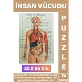 Eğitici Eğlenceli El-Göz Koordinasyonu Motor Becerisi Geliştiren 36 Parça Puzzle Insan Vücudu