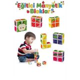 Eğitici Manyetik Küpler - Mıknatıslı Zeka Blokları - 4 Parça Meyve Temalı 3 Boyutlu Puzzle