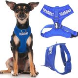 EĞİTİM (Köpek Eğitiminde/Rahatsız Etmeyin) Mavi Renk Kodlu Çekmez Ön ve Arka D Halka Dolgulu ve Su Geçirmez Yelek Köpek Koşum Takımı Köpeğinizin Başkalarını Önceden Uyararak Kazaları Önler (XS)