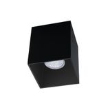 Eglo My Light My Style 63192 "Polasso Pro" 10 Cm Uzunluğunda Alüminyum Siyah Tavan Armatürü