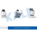 Egr Valf P206 P406 P307 P806