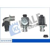 Egr Valfi - (Dacia Sandero, Duster, Logan, Dokker, Lodgy) - (KALE-357305)