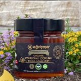 Eğriçayır 300 gr Polifloralı Organik Çiçek Balı