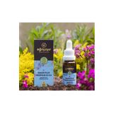 Eğriçayır İmmünplus Propolis K2 ve D3 Vitamini İçeren Takviye Edici Gıda 20 ml