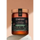 Eğriçayır Organik Çam Balı Ta15+ 850 Gr