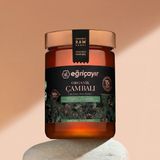 Eğriçayır Organik Çam Balı TA15+ 850g - 850 gr