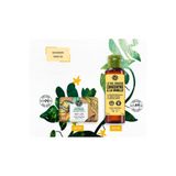 Egzotik Vanilya Esintili Duş ve Bakım Seti - Duş Jeli 100ml + Katı Sabun 80 Gr KTDUSJEL-YVES-BYD-80