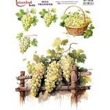 Ehobici Sulu Transfer Kağıdı 25X35CM ST-1016 - Çok Renkli