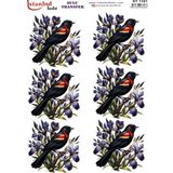 Ehobici Sulu Transfer Kağıdı 25X35CM ST-1161 - Çok Renkli