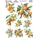 Ehobici Sulu Transfer Kağıdı 25X35CM ST-136 - Çok Renkli