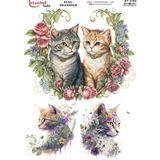 Ehobici Sulu Transfer Kağıdı 25X35CM ST-2193 - Çok Renkli
