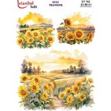 Ehobici Sulu Transfer Kağıdı 25X35CM ST-762 - Çok Renkli