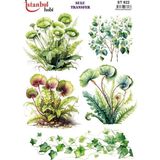 Ehobici Sulu Transfer Kağıdı 25X35CM ST-922 - Çok Renkli