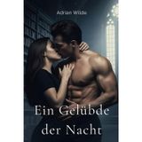 Ein Gelübde der Nacht