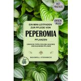 Ein Mini-Leitfaden zur Pflege von Peperomia-Pflanzen