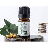 Ein Natur Limon Okaliptüs Uçucu Yağı 5 ml %100 Saf Eucalyptus citriodora essential oil