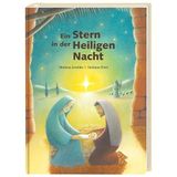 Ein Stern in der Heiligen Nacht