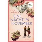 Eine Nacht im November: Roman