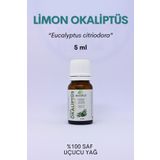 EinNatur Okaliptüs (LİMON) Uçucu Yağı, 5 Ml, %100 Saf, Eucalyptus Citriodora Essential Oil Ökaliptus
