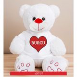 Ejoya 81868 50 cm Kişiye Özel Mesajlı Sevimli Peluş Ayıcık