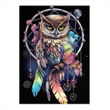 Ekart Düş Kapanına Oturan Baykuş Mdf poster 35 cm x 50 cm
