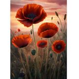Ekart Gelincik Çiçekleri Hediyelik Ahşap Tablo 35 cm x 50 cm