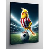 Ekart Kanvas Tablo Futbol Kuşu