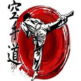 Ekart Karate Temalı Hediyelik Ahşap Tablo 35 cm x 50 cm