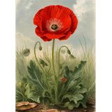 Ekart Narin Gelincik Çiçeği Mdf Tablo 25 cm x 35 cm