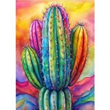 Ekart Renkli Kaktüs Hediyelik Ahşap Tablo 35 cm x 50 cm