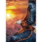 Ekart Uçan Kartal Desenli Mdf Tablo 35 cm x 50 cm