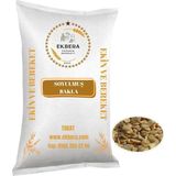 Ekbera Yerli Soyulmuş Bakla – 1 Kg, Katkısız Ve Doğal