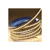 EKM29 ekim aydınlatma Gold 240 Ledli İç Mekan Şerit Led Günışığı Işık