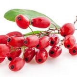 Eko Paket 100 Adet Tohum İthal Goji Gojiberry Tohumu Goji Berry Tohumu