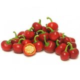 Eko Paket 100 Tohum Acı Cherry Kiraz Biberi Tohumu Biber Tohumu