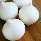 Eko Paket Beyaz Tatlı Soğan Tohumu 650 Tohum + Spriz Hediye Tohum