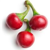 Eko Paket Cherry Tatlı Kiraz Biber Tohumu 65 Tohumu + Tohum